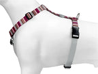 Morso Hondentuig H-tuig Gerecycled Skyline Rood / Roze hondenhalsband hondenriem nylon