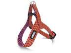 Morso Mini Hondentuig Verstelbaar Gerecycled hondenhalsband hondenriem nylon