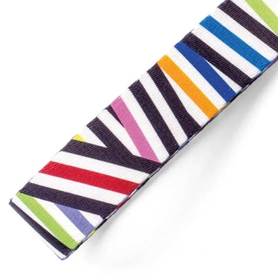 Morso Hondenriem Verstelbaar Gerecycled Spaghetti Incident hondenhalsband nylon