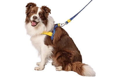 Morso Norwegian Hondentuig Gerecycled Color Invaders Paars hondenhalsband hondenriem nylon