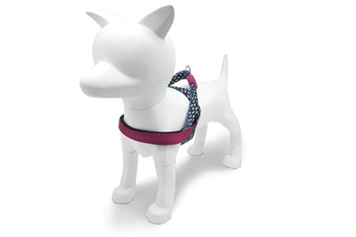 Morso Norwegian Hondentuig Gerecycled Power Flow Zwart hondenhalsband hondenriem nylon