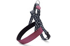 Morso Norwegian Hondentuig Gerecycled Power Flow Zwart hondenhalsband hondenriem nylon