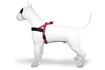 Morso Norwegian Hondentuig Gerecycled Bubble Leo Roze hondenhalsband hondenriem nylon