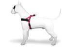 Morso Norwegian Hondentuig Gerecycled Bubble Leo Roze hondenhalsband hondenriem nylon