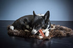 Henart Yak Kaas Met Aardbeismaak hondensnacks hard 100-115 gr