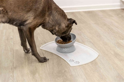 Trixie Verhoogde Voerbak / Waterbak Keramiek Grijs hond 350 ml 17 cm