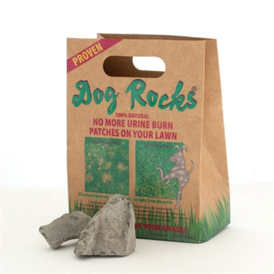DOG ROCKS 600 GR