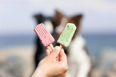 Trixie Ice Pop Rood zomer