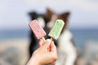 Trixie Ice Pop Roze zomer 55 gr