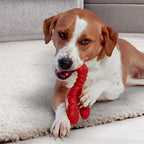 Nylabone Extreme Chew Lobster Filet Mignonsmaak hondenspeelgoed