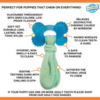 Nylabone Puppy Freezer Bone With Wash Cloth Pindakaassmaak hondenspeelgoed Medium Tot 16 kg