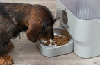 Trixie Voerautomaat Tx-c Smart Lichtgrijs voerbak hond 28x17x30 cm 5 ltr