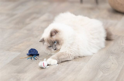 Trixie Zeedier Pluche Met Catnip Assorti kattenspeelgoed 5-8 cm