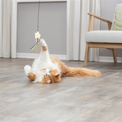 Trixie Kattenhengel Ster Kunststof / Pluche Met Catnip kattenspeelgoed 46 cm