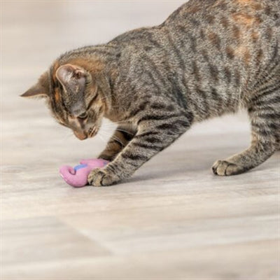 Trixie Zeepaard Pluche Met Catnip Assorti kattenspeelgoed 11 cm