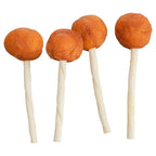 Trixie Premio Lolly Met Kabeljauw hondensnacks kauwsnack 9 cm 60 st