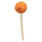 Trixie Premio Lolly Met Kabeljauw hondensnacks kauwsnack 9 cm 60 st
