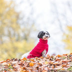 Trixie Hondentrui Norwood hondenkleding