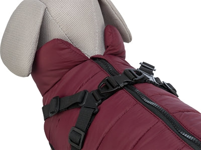 Trixie Hondenjas Pirou Met Tuig Sangria hondenkleding