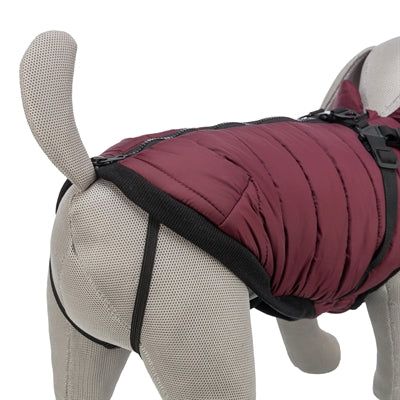 Trixie Hondenjas Pirou Met Tuig Sangria hondenkleding