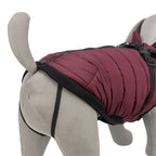 Trixie Hondenjas Pirou Met Tuig Sangria hondenkleding