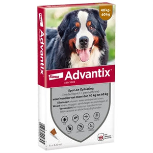 ELANCO ADVANTIX SPOT ON 600/3000 40+ KG - 4 PIP