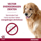 ELANCO ADVANTIX SPOT ON 600/3000 40+ KG - 4 PIP