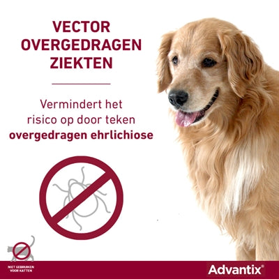 ELANCO ADVANTIX SPOT ON 600/3000 40+ KG - 4 PIP