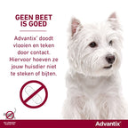 ELANCO ADVANTIX SPOT ON 600/3000 40+ KG - 4 PIP