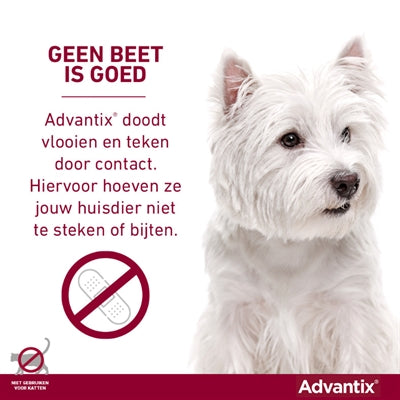 ELANCO ADVANTIX SPOT ON 600/3000 40+ KG - 4 PIP