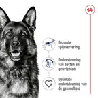 Royal Canin Maxi Adult hondenvoer droogvoer 15 kg