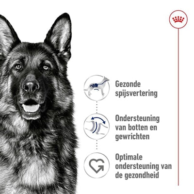 Royal Canin Maxi Adult hondenvoer droogvoer 15 kg