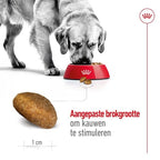 Royal Canin Maxi Adult hondenvoer droogvoer 15 kg
