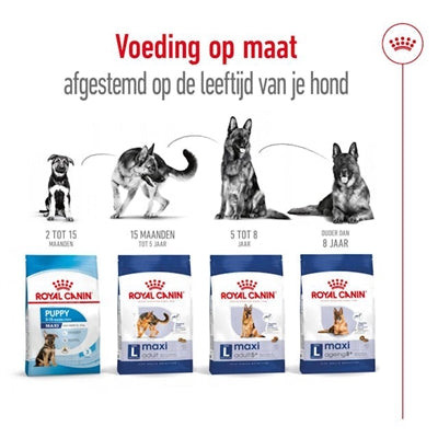 Royal Canin Maxi Adult hondenvoer droogvoer 15 kg
