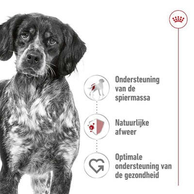 Royal Canin Medium Adult hondenvoer droogvoer