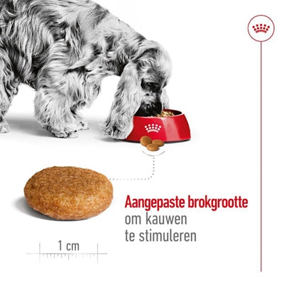 Royal Canin Medium Adult hondenvoer droogvoer