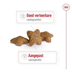 Royal Canin Mini Adult hondenvoer droogvoer