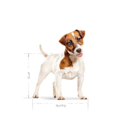 Royal Canin Mini Adult hondenvoer droogvoer