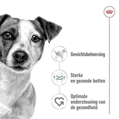 Royal Canin Mini Adult hondenvoer droogvoer