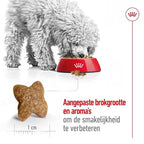 Royal Canin Mini Adult hondenvoer droogvoer