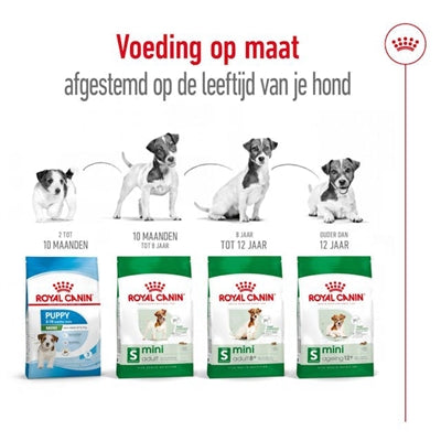 Royal Canin Mini Adult hondenvoer droogvoer