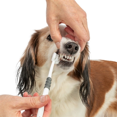 Trixie 3-KOPPIGE Tandenborstel Hond / Kat Wit / Grijs vachtverzorging 18 cm