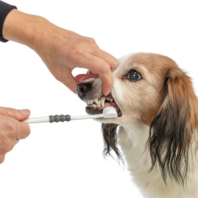 Trixie 3-KOPPIGE Tandenborstel Hond / Kat Wit / Grijs vachtverzorging 18 cm