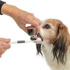 Trixie 3-KOPPIGE Tandenborstel Hond / Kat Wit / Grijs vachtverzorging 18 cm