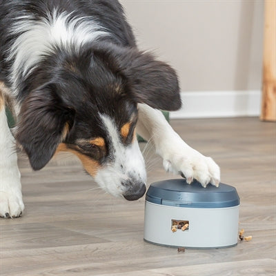 Trixie Dog Activity Buzzer Kunststof hondenspeelgoed 14x14x9,5 cm