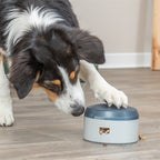 Trixie Dog Activity Buzzer Kunststof hondenspeelgoed 14x14x9,5 cm