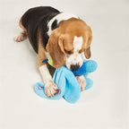 Fofos Jumbo Butterfly Blue hondenspeelgoed 25x38x10 cm