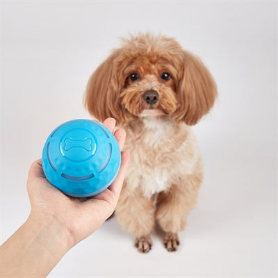 Fofos Rol Bal Oplaadbaar Voor Honden hondenspeelgoed 8,5x8,5x8,5 cm