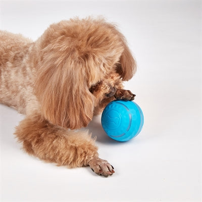 Fofos Rol Bal Oplaadbaar Voor Honden hondenspeelgoed 8,5x8,5x8,5 cm