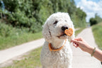 Trixie Premio Lolly Met Kip en Rijst hondensnacks kauwsnack 10 cm 30 st